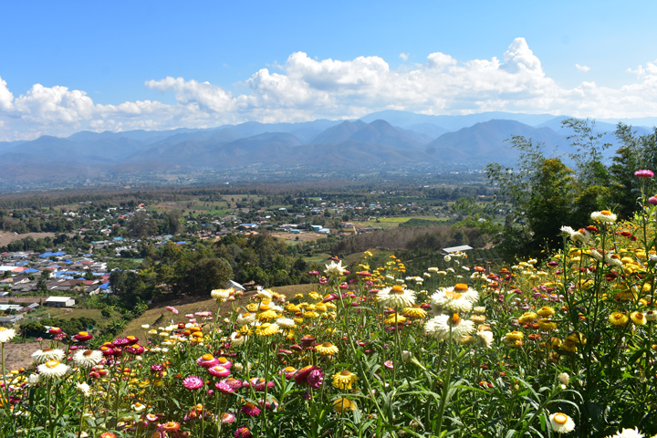 Góc nhìn xinh đẹp từ trên cao
