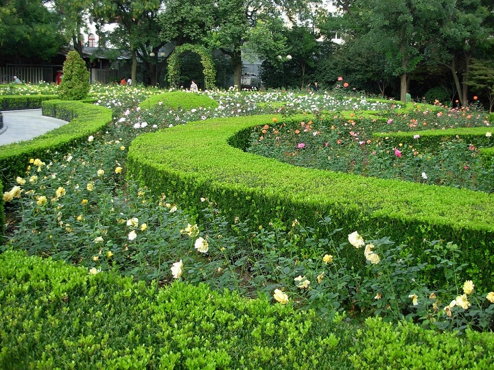 Công viên không chỉ nổi tiếng với vẻ đẹp của khu vườn "Mattress" mà còn có những vườn hoa hồng, hoa trà, và azalea đáng yêu