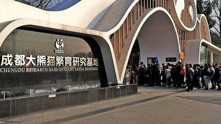 Bên ngoài Vườn gấu trúc Panda Thành Đô