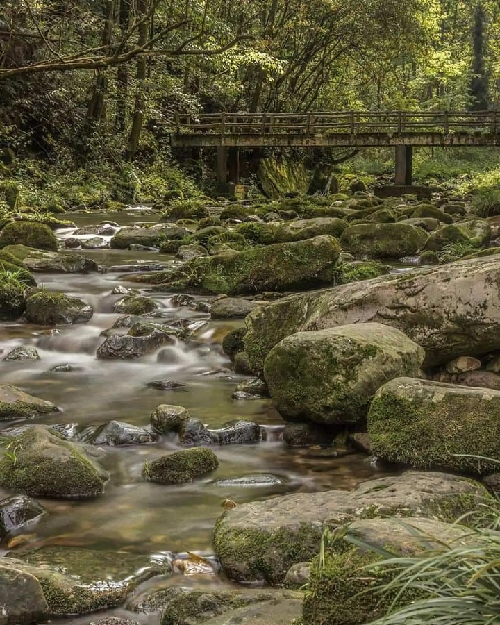 Kim Tiên Khê thu hút du khách bởi cảnh quan thơ mộng và huyền bí