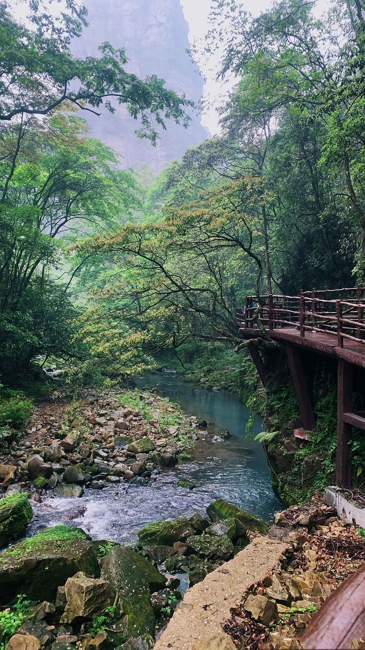 Thời điểm tốt nhất để tham quan Kim Tiên Khê - Trương Gia Giới