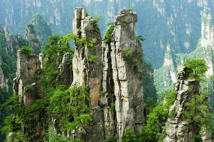 Phách Sơn Cứu Mẫu