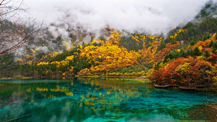 Mùa thu ở Hồ Trúc - Cửu Trại Câu