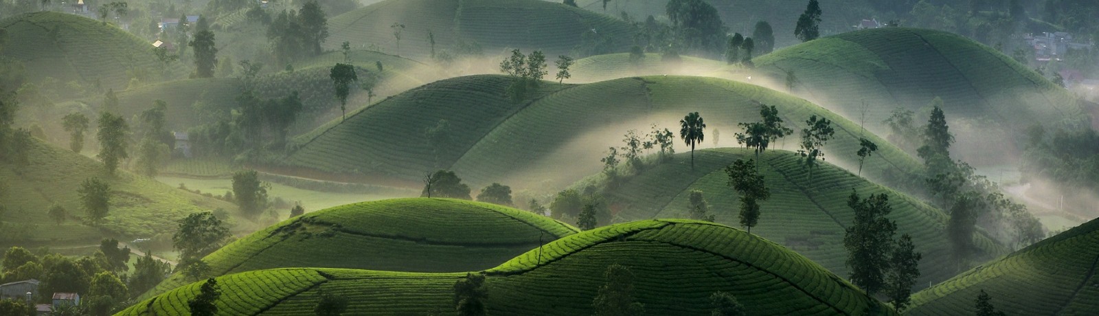 PHÚ THỌ