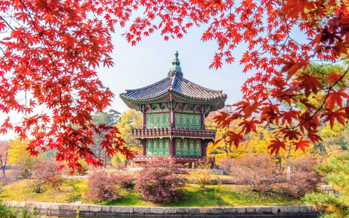 Khung cảnh mùa thu rực rỡ ở Hàn Quốc với sắc lá đỏ, vàng trải dài khắp núi rừng và đường phố