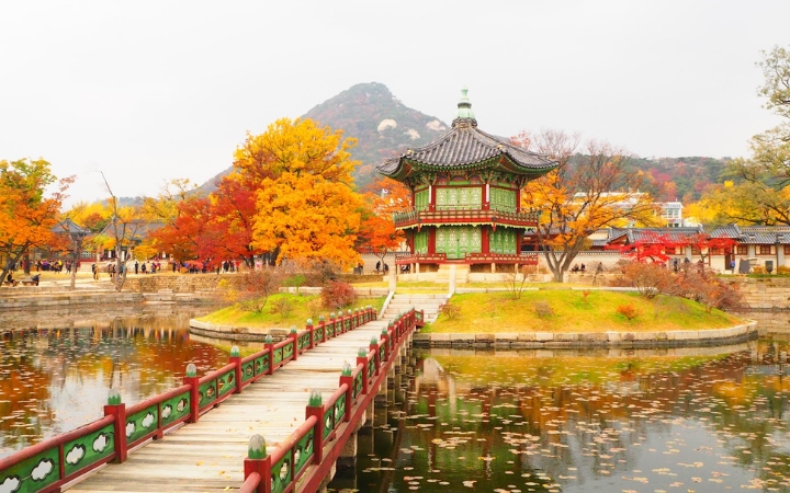 Những tán phong đỏ soi bóng xuống mặt hồ Gyeonghoeru tạo nên một khung cảnh đầy hoài niệm