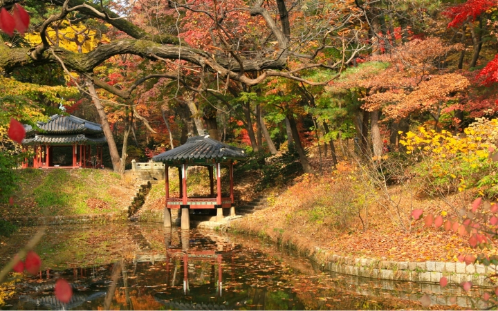  Vườn Bí Mật (Huwon) chìm trong sắc lá vàng, đỏ mỗi độ thu về