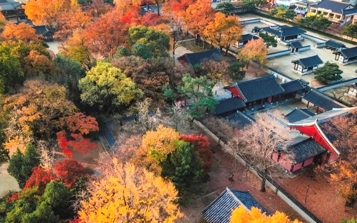 Những ngôi nhà hanok giữa sắc lá mùa thu tạo nên khung cảnh hoài cổ đầy cuốn hút
