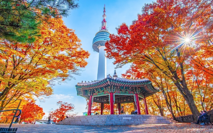 Mùa thu biến công viên Namsan thành một bức tranh rực rỡ với sắc lá vàng đỏ phủ khắp không gian