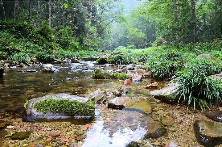 Dòng suối Kim Tiên Khê uốn lượn giữa rừng núi, tạo nên cảnh sắc thơ mộng và yên bình.