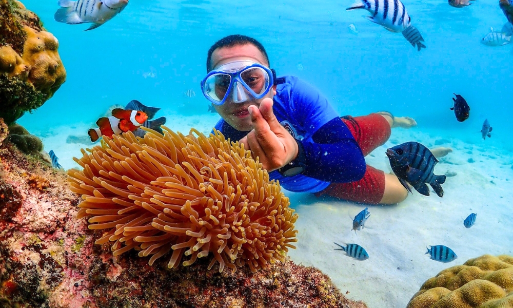 Hệ thống san hô đa dạng của Koh Surin Nuea sẽ làm bạn choáng ngợp