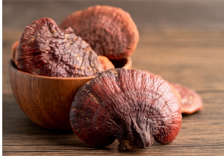 Nấm Linh Chi Hàn Quốc là một trong những món quà quý giá nhất mà bạn có thể mua từ chuyến du lịch 