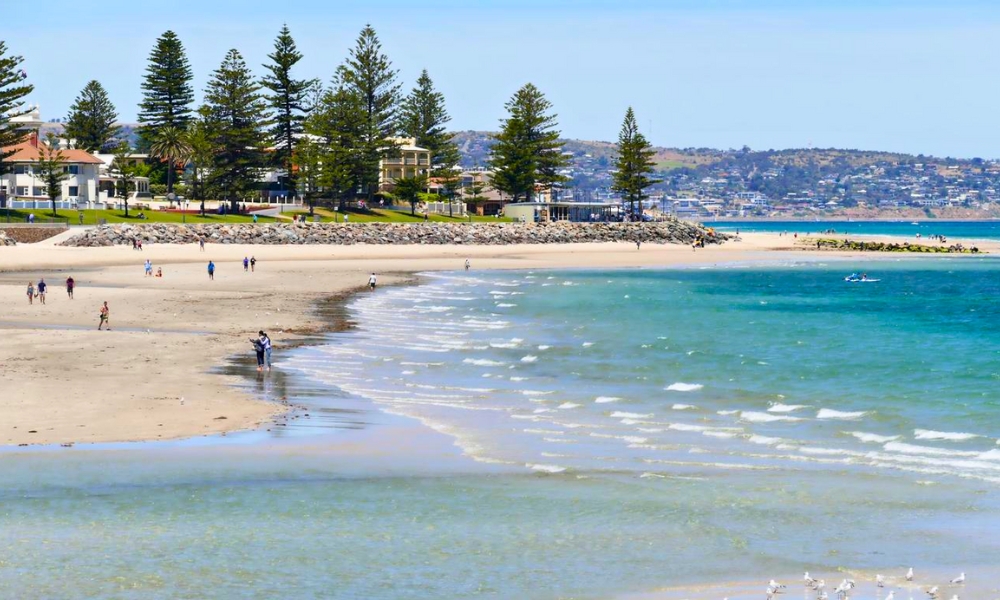 Làn nước trong xanh đặc trưng của bãi biển Glenelg
