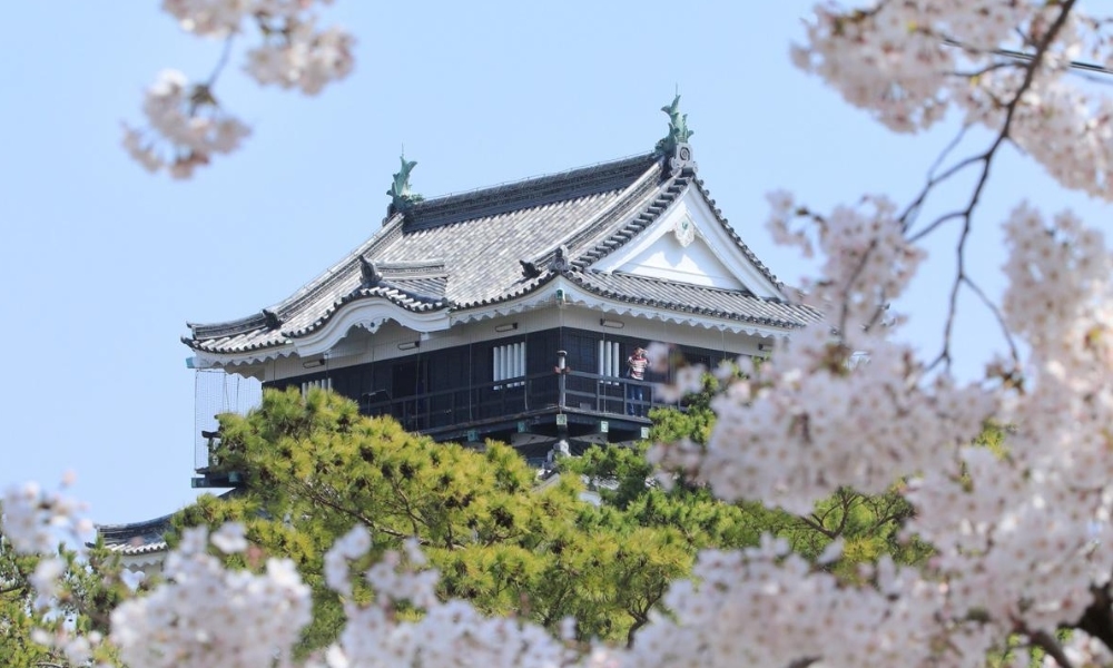 Mỗi mùa ở Aichi mang một nét đẹp riêng, phù hợp với nhiều trải nghiệm khác nhau