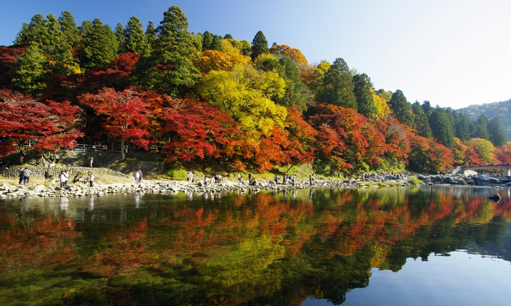 Thung lũng Korankei rực rỡ mùa lá đỏ với hơn 4.000 cây phong