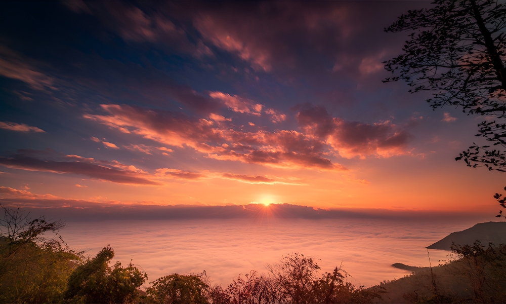 Rừng nguyên sinh Đại Vi Sơn mờ ảo trong biển mây buổi sáng