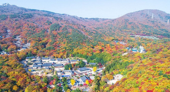 Cảnh sắc lãng mạn vào mùa thu tại Busan