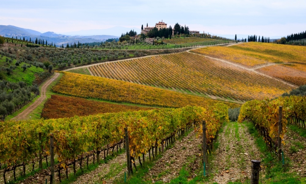 Tuscany tháng 10 là mùa thu hoạch rượu vang và ôliu giữa sắc thu vàng đỏ