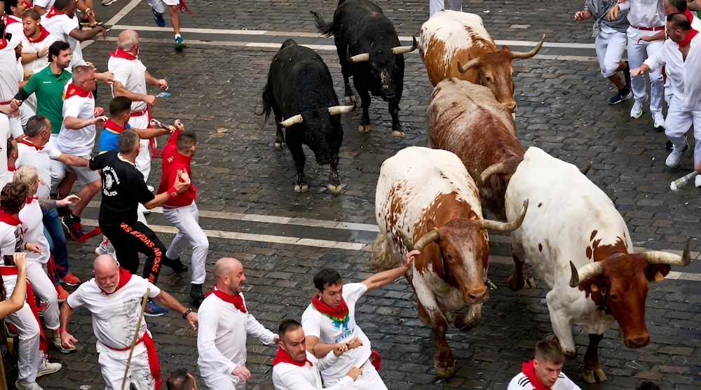 Người dân mặc áo trắng đỏ chạy cùng bò tót trên đường phố Pamplona trong lễ hội San Fermin