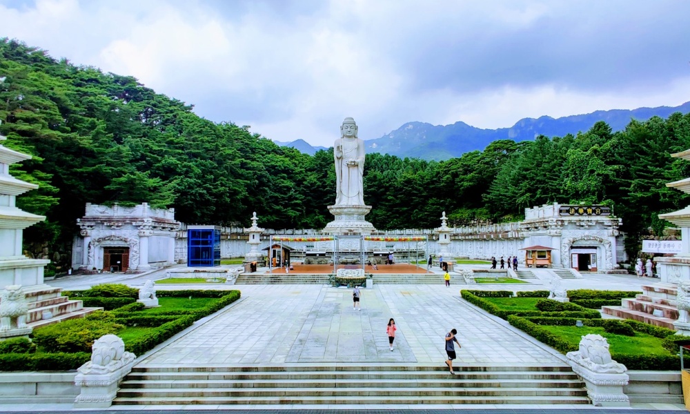 Tượng Phật nổi bật giữa khung cảnh núi rừng thanh tịnh