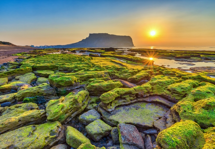 Jeju được mệnh danh là Hawaii của Hàn Quốc 