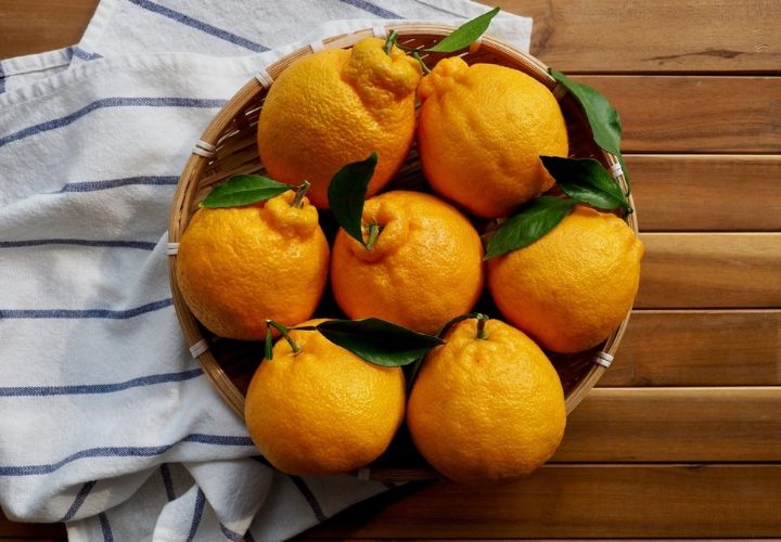 Quýt Jeju là đặc sản nức tiếng của hòn đảo Jeju