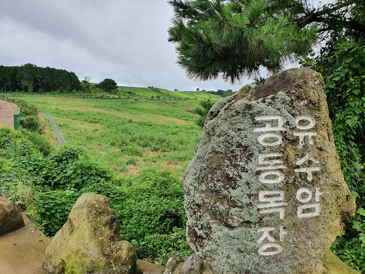 Làng Yusuam là một ngôi làng nhỏ nằm ven sườn núi trên đảo Jeju