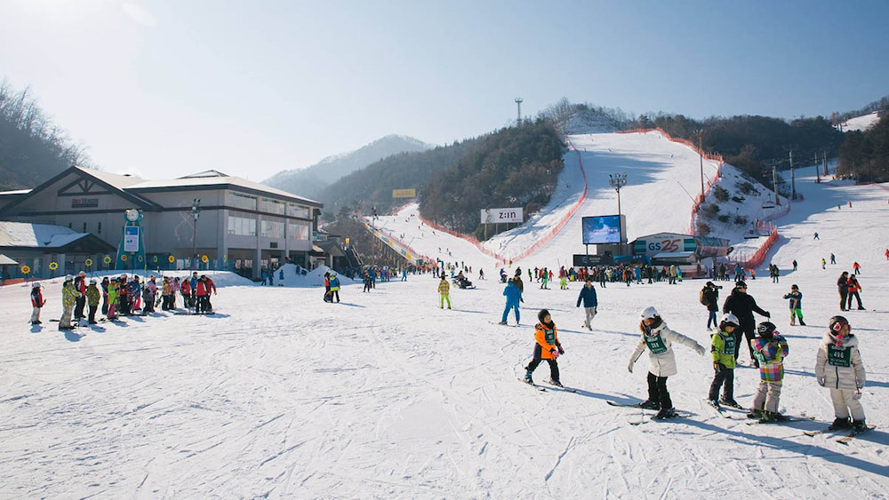 Du khách có thể trải nghiệm bộ môn trượt tuyết tại Khu nghỉ dưỡng Yongpyong