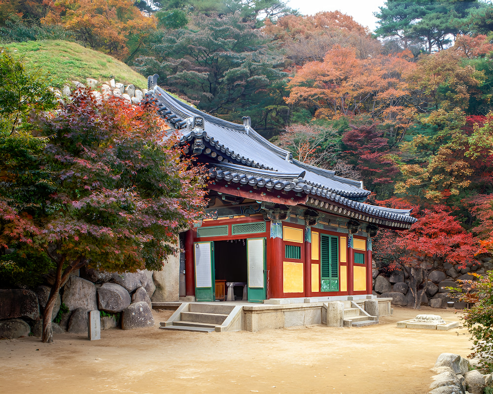 Vẻ đẹp lãng mạn của Gyeongju mùa thu với sắc lá vàng đỏ bao phủ 