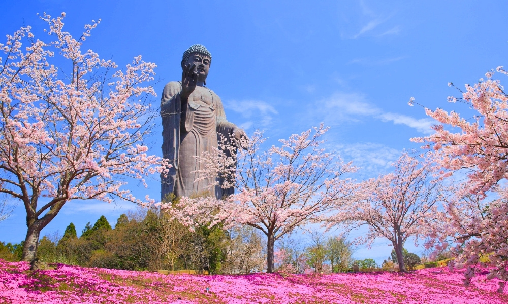 Ushiku Daibutsu – bức tượng Phật bằng đồng cao nhất thế giới