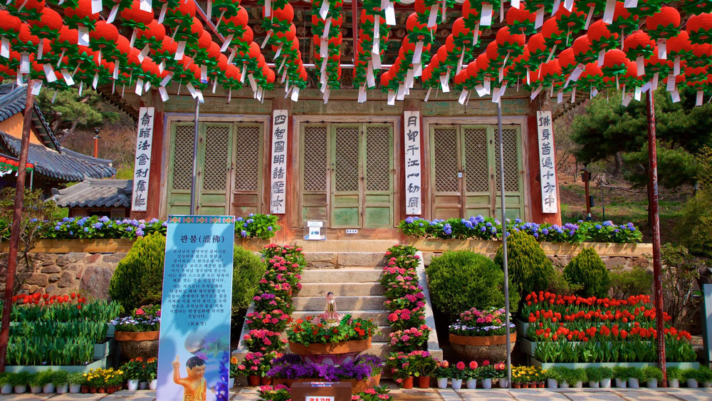 Chùa Jeondeungsa trên đảo Ganghwa – ngôi chùa cổ kính rực rỡ sắc hoa và đèn lồng