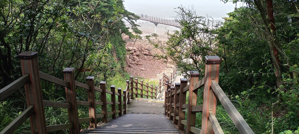 Lối cầu gỗ xuyên rừng dẫn ra bãi biển Hanagae trên đảo Muui