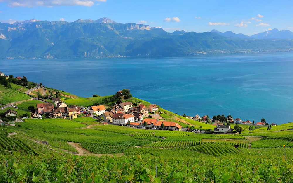 Bạn nên ghé Lausanne vào khoảng tháng 5 - 9 để cảm nhận trọn vẹn nhịp sống nơi đây