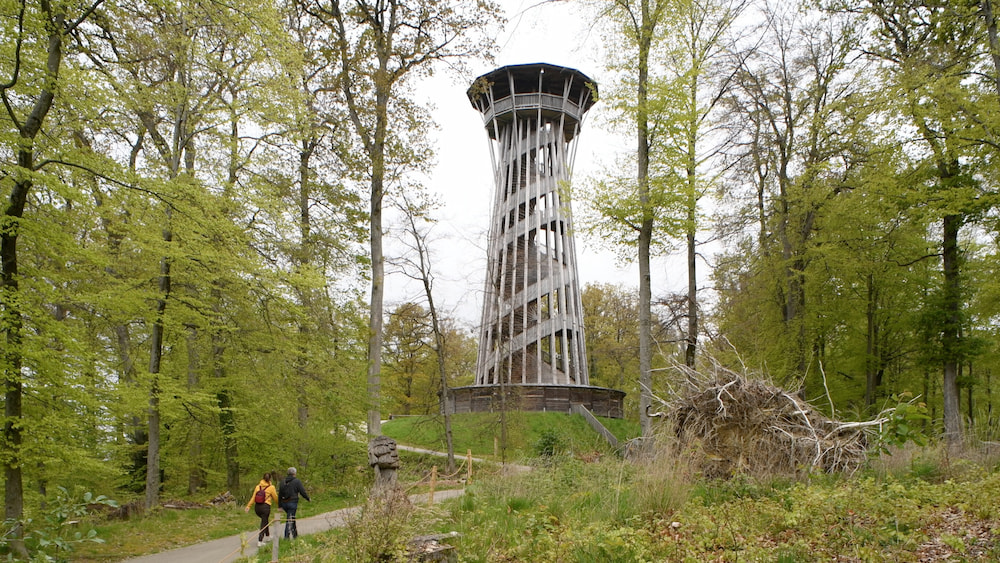 Tháp quan sát Sauvabelin - Nơi bạn có thể ngắm nhìn toàn cảnh thành phố Lausanne từ trên cao