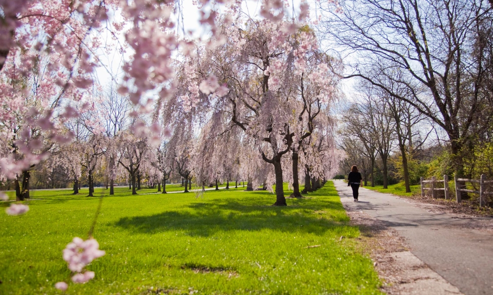 Philadelphia vào mùa xuân có rất nhiều sự kiện đặc sắc