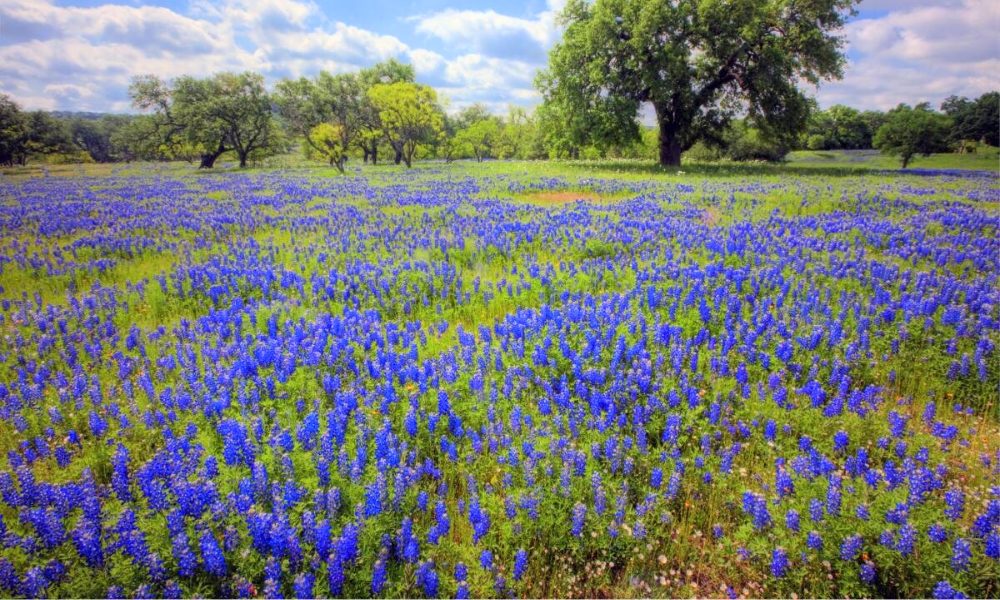 Texas Hill Country là sự kết hợp hài hoà giữa thiên nhiên và văn hoá