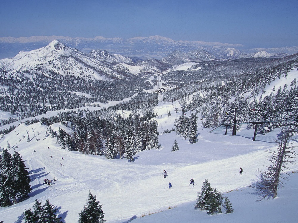 Shiga Kogen nổi tiếng với đường trượt dài bất tận