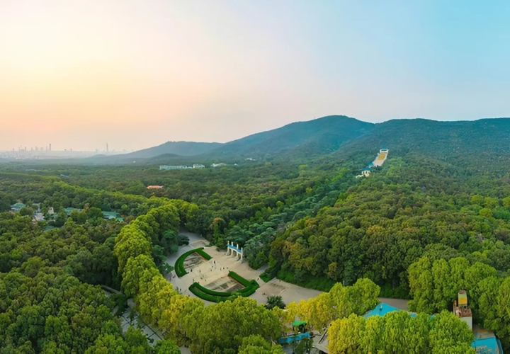 Núi Zijin Shan được biết đến là một trong bốn ngọn núi nổi tiếng ở Nam Kinh Trung Quốc.