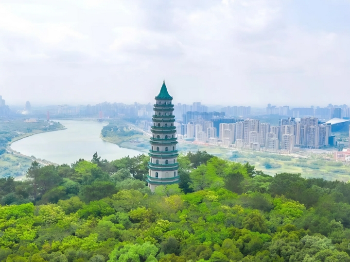 Toàn cảnh Thanh Tú Sơn với tháp Long Tượng nổi bật giữa thiên nhiên xanh mát.