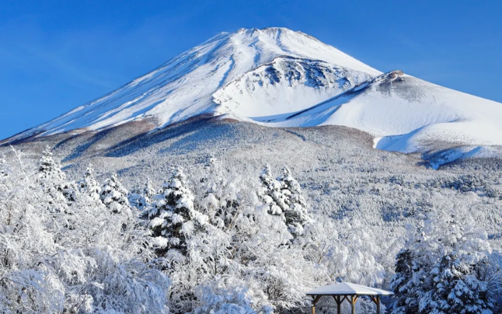  Núi Phú Sĩ hùng vĩ phủ tuyết trắng, tạo nên khung cảnh mùa đông đầy thơ mộng và tráng lệ