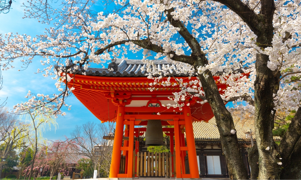 Nước Nhật vào mùa xuân, cụ thể là tháng 4 đẹp đến nao lòng