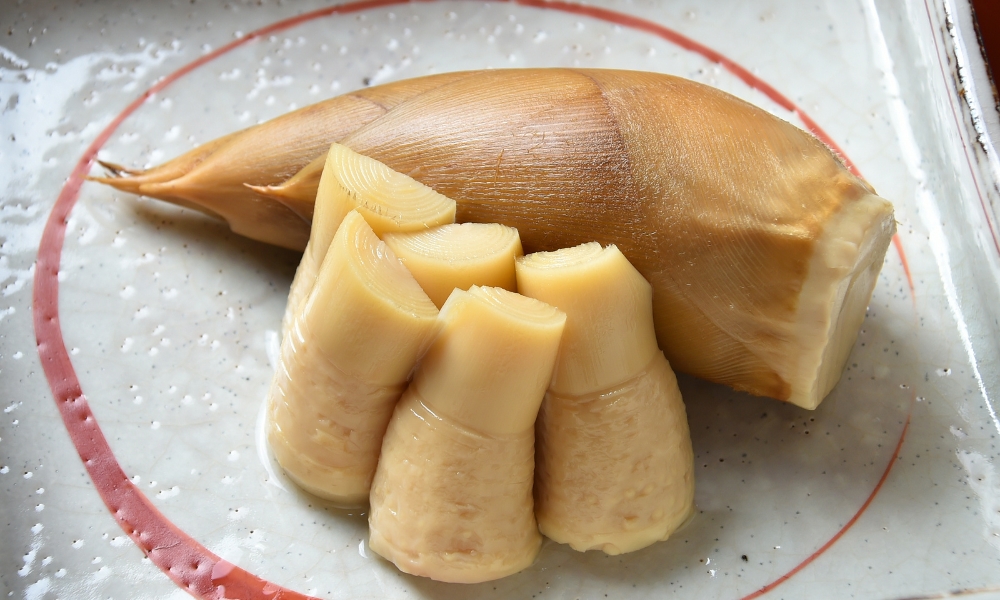 Măng non mùa xuân mang đến cảm giác tươi mát