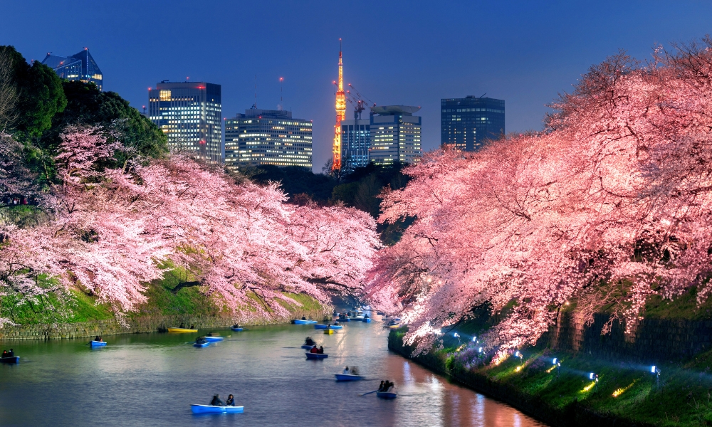 Thủ đô xứ Phù Tang rất đáng để thăm thú vào tháng 4