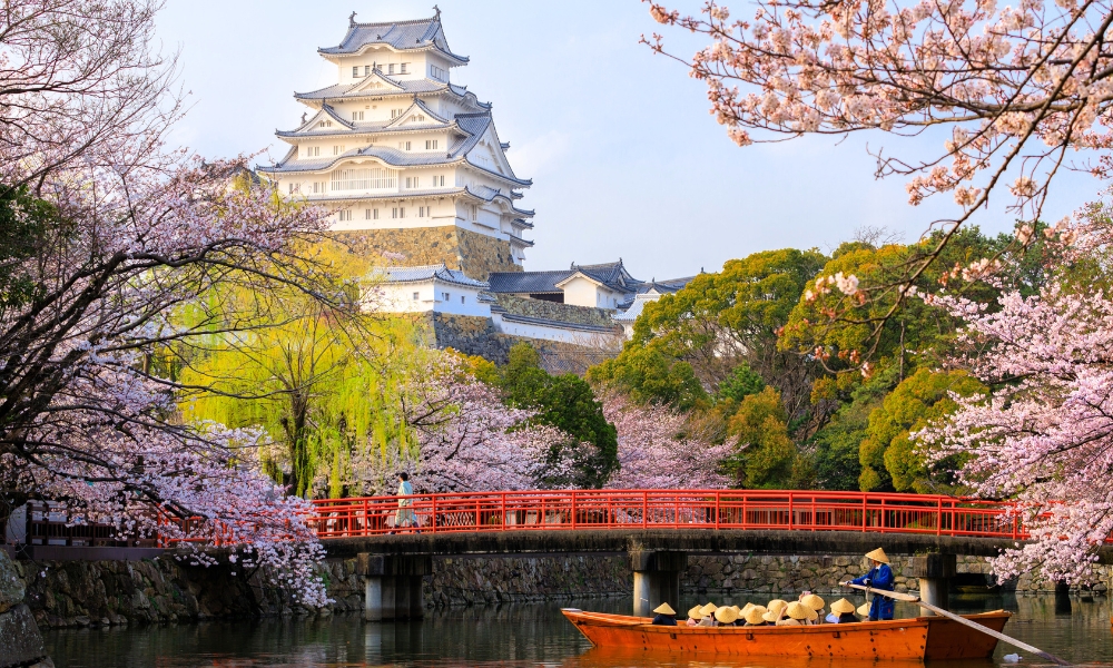 Osaka có nhiều khu để thưởng thức hoa anh đào