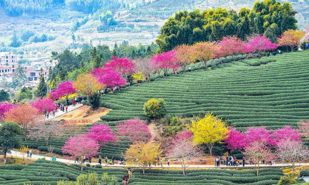 Mùa nào Phúc Kiến cũng có vẻ đẹp rất riêng