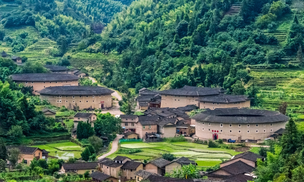 Núi Vũ Di sẽ là điểm đến phù hợp với những ai yêu cây cối và động vật