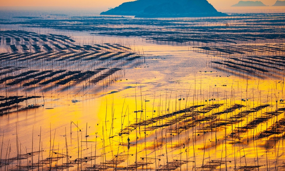 Vừa có núi vừa có biển, Phúc Kiến có thể chinh phục bất kỳ du khách nào đến đây