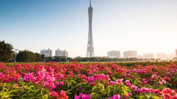 Mùa xuân khí hậu dễ chịu, hoa nở rực rỡ khắp nơi, thích hợp cho những chuyến tham quan ngoài trời.