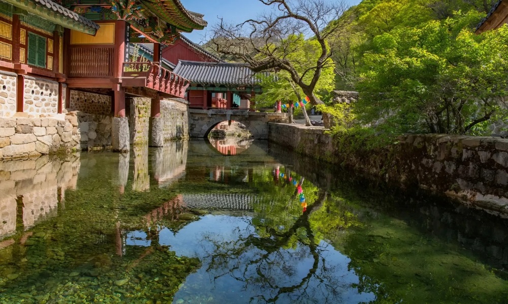 Suối Suwoncheon là điểm dạo bộ thư giãn giữa lòng thành phố