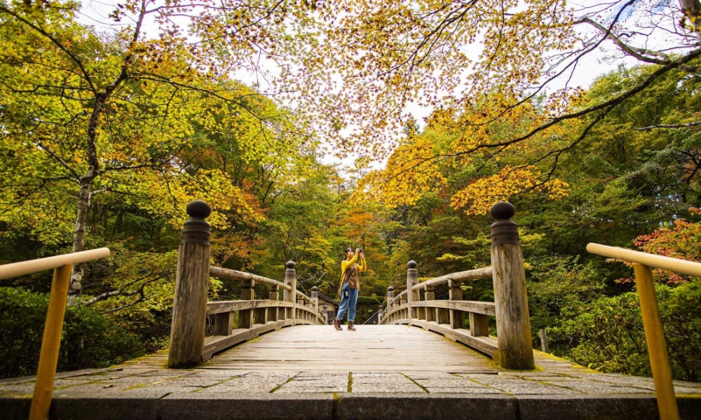 Bạn có thể tận hưởng cảnh sắc tuyệt vời của Tochigi suốt cả năm